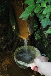 IMG_7916