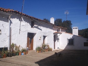 BF2-2004