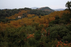 Vista del Cabezo del Hornito
